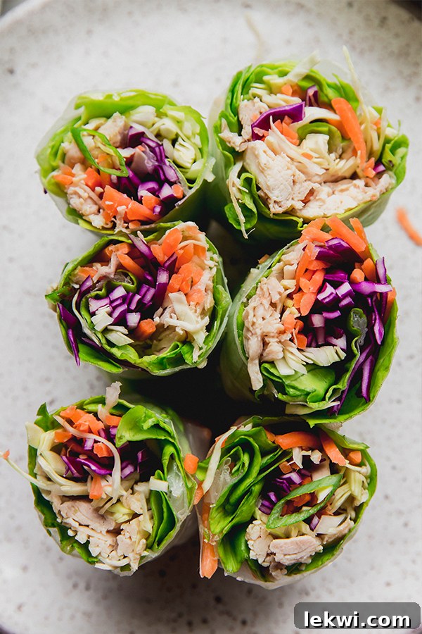 Fresh chicken and vegetable summer rolls wrapped in rice paper, served with dipping sauce.