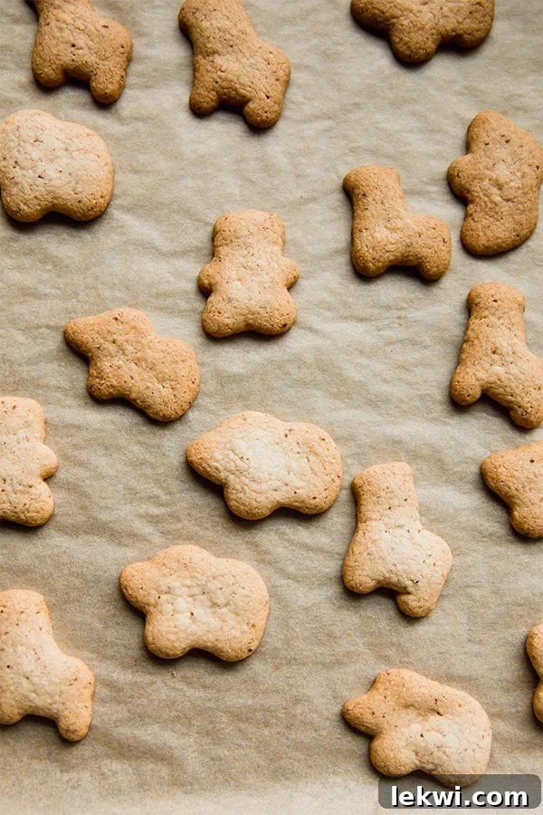 Freshly baked gluten-free animal crackers cooling on parchment paper.