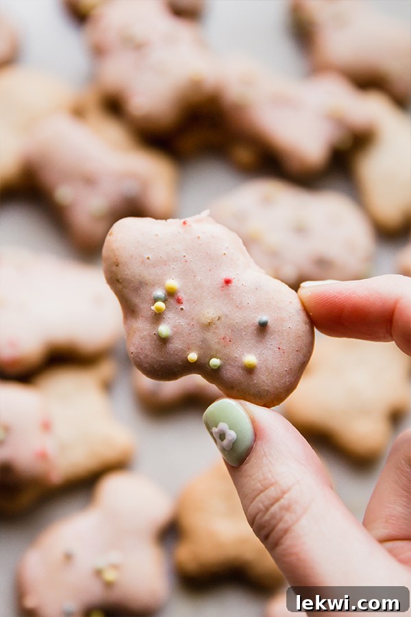 A hand holding an iced gluten-free animal cracker with sprinkles.