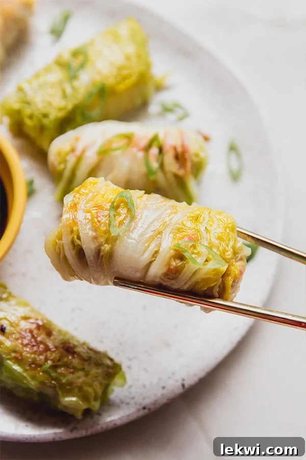 Chopsticks gracefully picking up a perfectly cooked Cabbage Roll Dumpling from a serving plate.