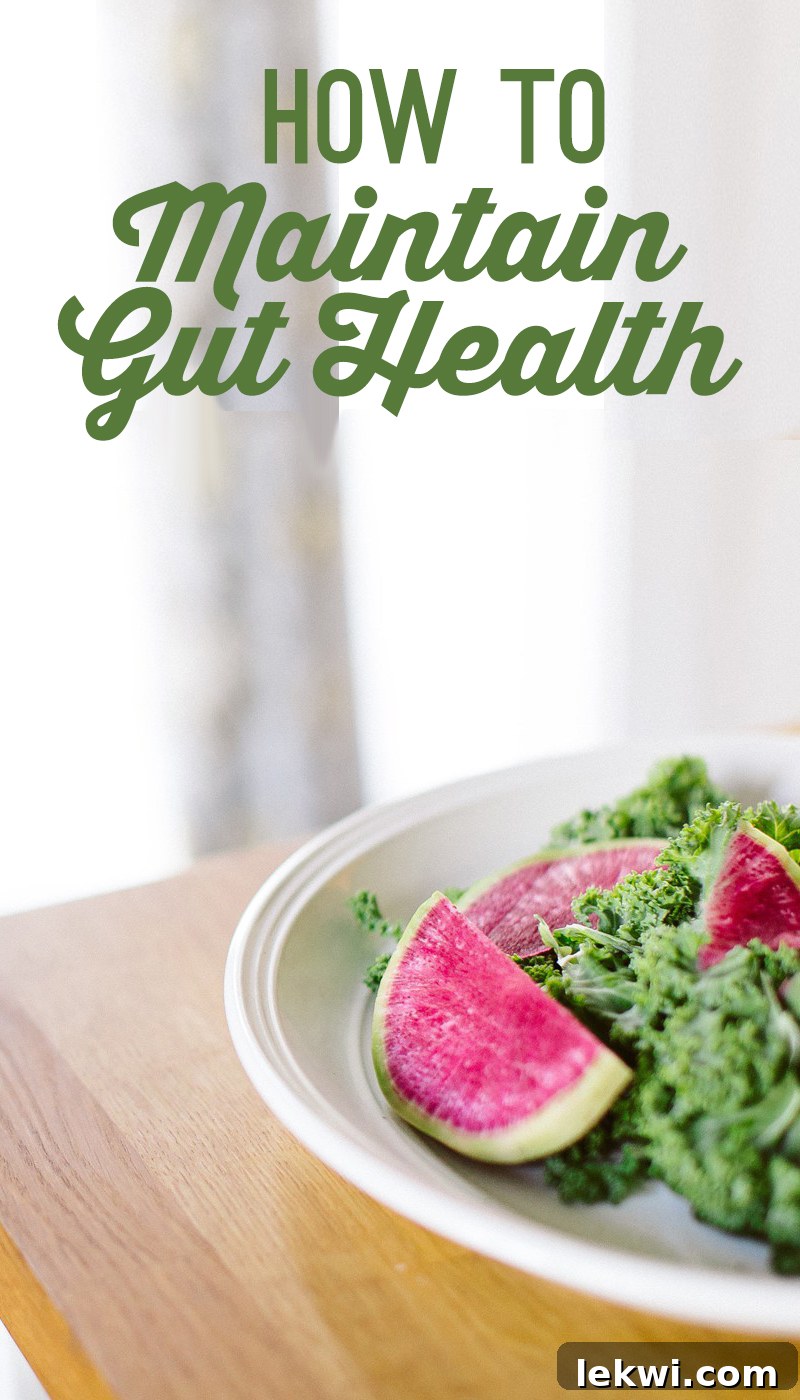 From Repair to Resilience: Nurturing Your Gut at Every Healing Milestone 4 How to Maintain Gut Health at Any Stage of Healing