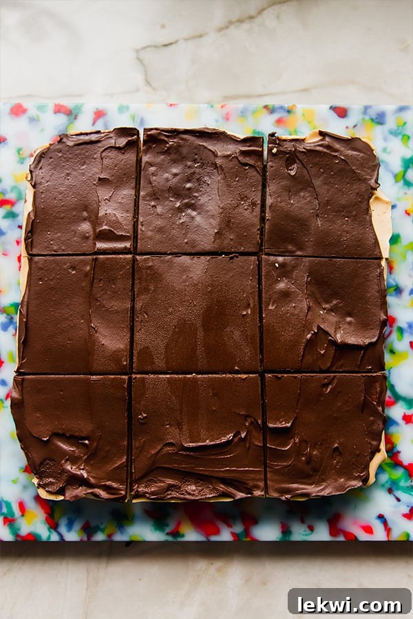 Cozy Gluten-Free Dairy-Free Pumpkin Spice S'mores Bars 4 A freshly sliced batch of pumpkin spice s'mores bars resting on a kitchen counter, ready to be enjoyed.