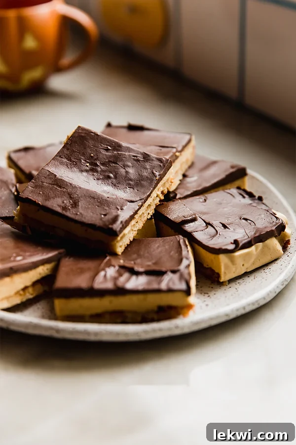Cozy Gluten-Free Dairy-Free Pumpkin Spice S'mores Bars 5 A beautifully arranged plate of pumpkin spice s'mores bars, perfectly sliced and ready to be served.