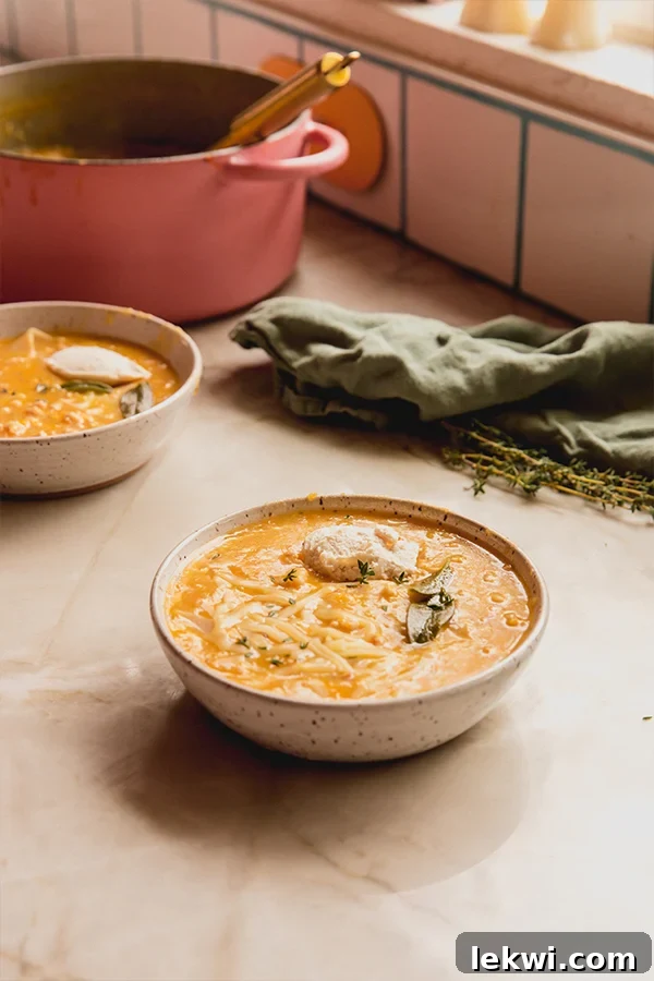 Two bowls of butternut lasagna soup.