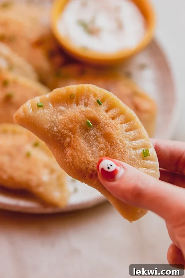 A close up photo of a pumpkin ricotta pierogie being held in a hand.