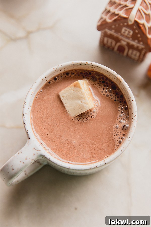 A close-up shot of a cup of gingerbread hot cocoa topped with a melting marshmallow and a dusting of spice, set against a blurred festive background.