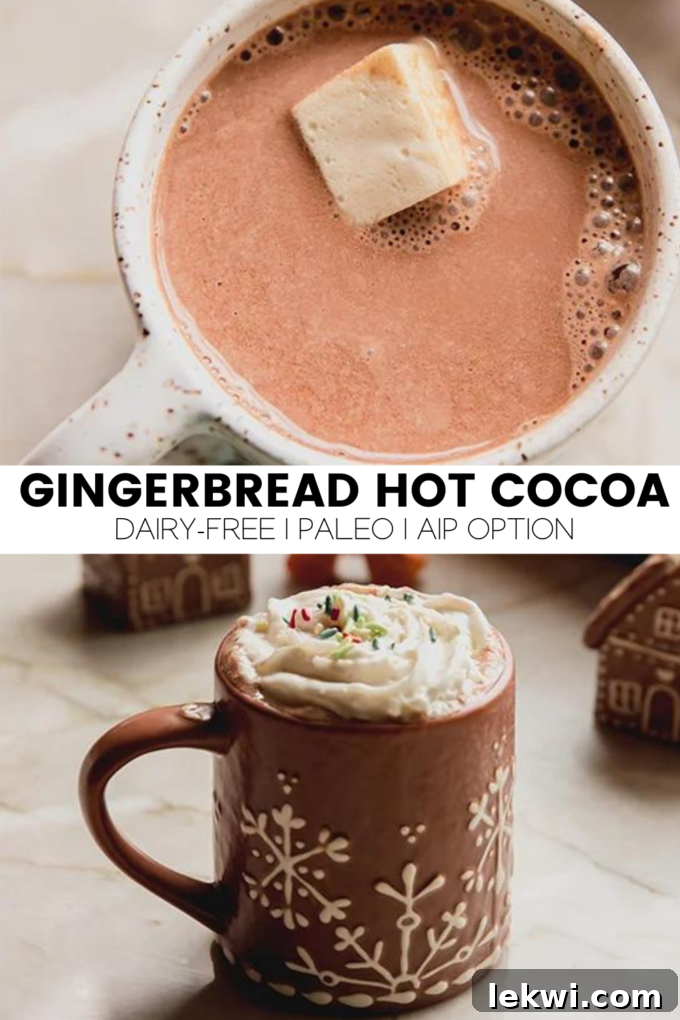Collage with text "Gingerbread Hot Cocoa Dairy-Free | Paleo | AIP Option." highlighting the key features of the recipe.