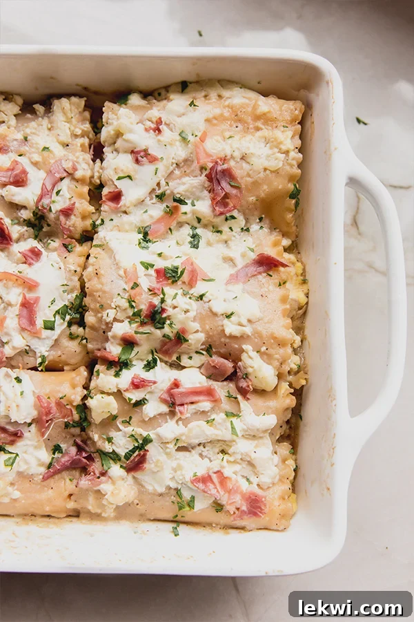 Chicken Alfredo Lasagna Roll Ups in a white baking dish, topped with chopped parsley and proscuitto.