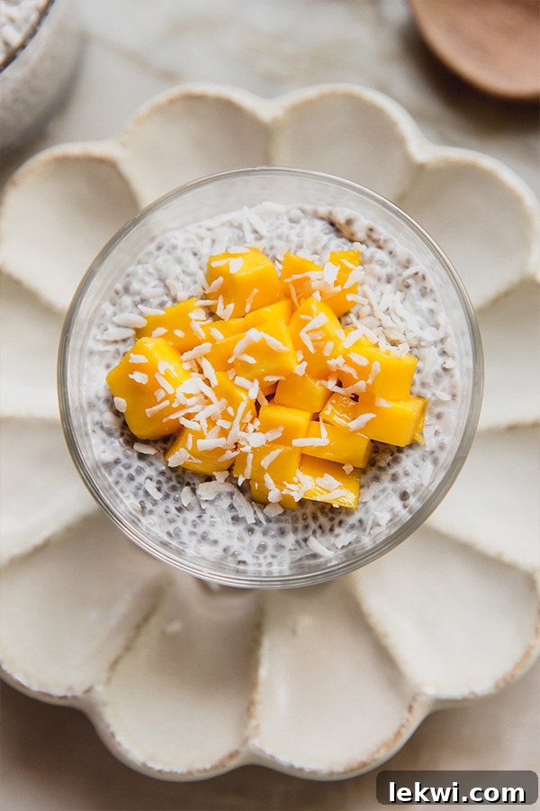A single, beautifully presented cup of mango sticky rice chia pudding, adorned with diced mango and shredded coconut, resting on a clean kitchen counter.