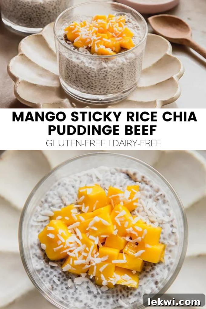 A vibrant graphical image showcasing the Mango Sticky Rice Chia Pudding, emphasizing its fresh ingredients and enticing presentation.