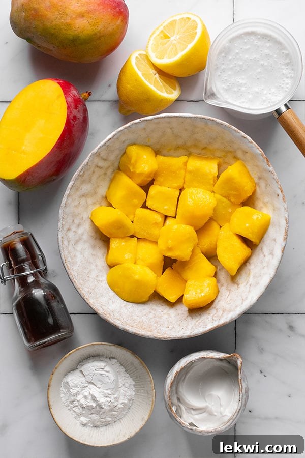 All the ingredients for dairy-free mango pudding laid out on a kitchen counter, including fresh mango, coconut milk, lemon juice, and vanilla extract.