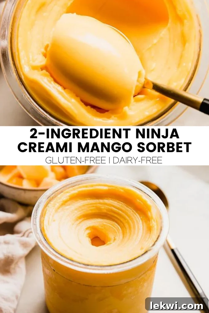 A visual graphic promoting the 2-Ingredient Ninja Creami Mango Sorbet recipe, encouraging readers to try it.