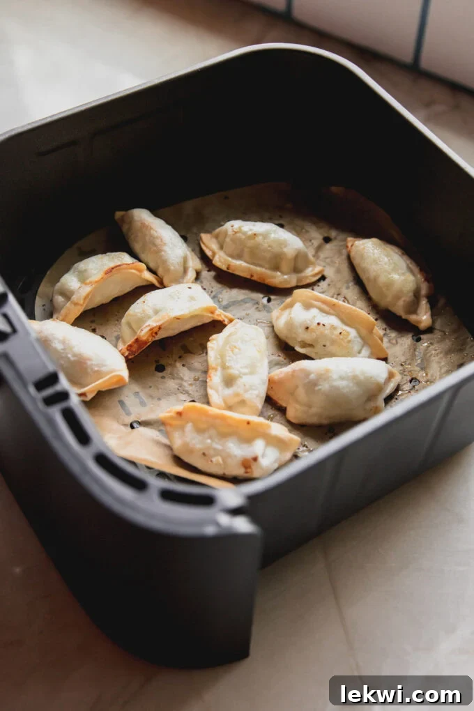 Perfectly cooked and crispy gluten-free dumplings after being air-fried, golden brown and ready to add to the salad.