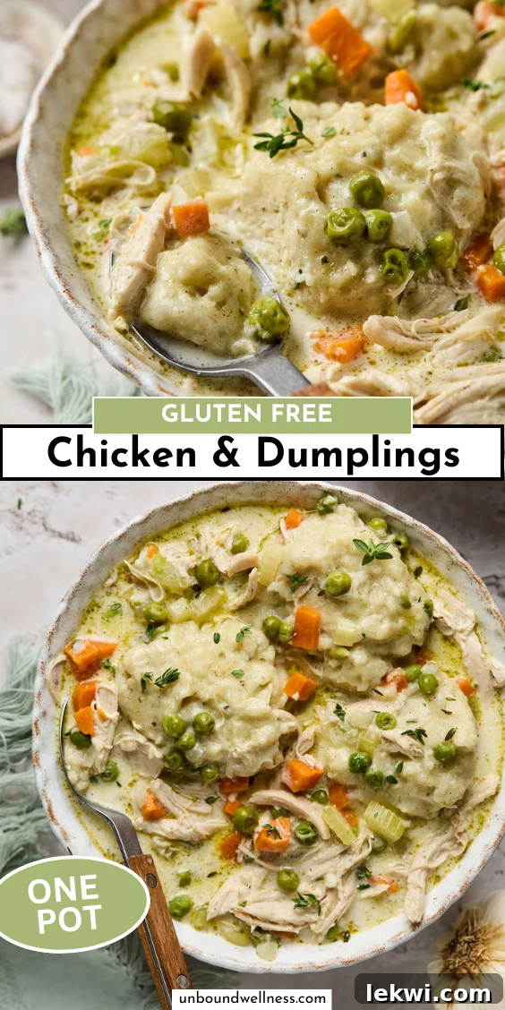 Pin graphic for Gluten-Free Chicken and Dumplings recipe.