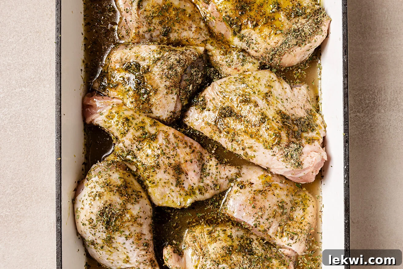 Seasoned raw turkey wings arranged in a baking dish with chicken broth at the bottom.