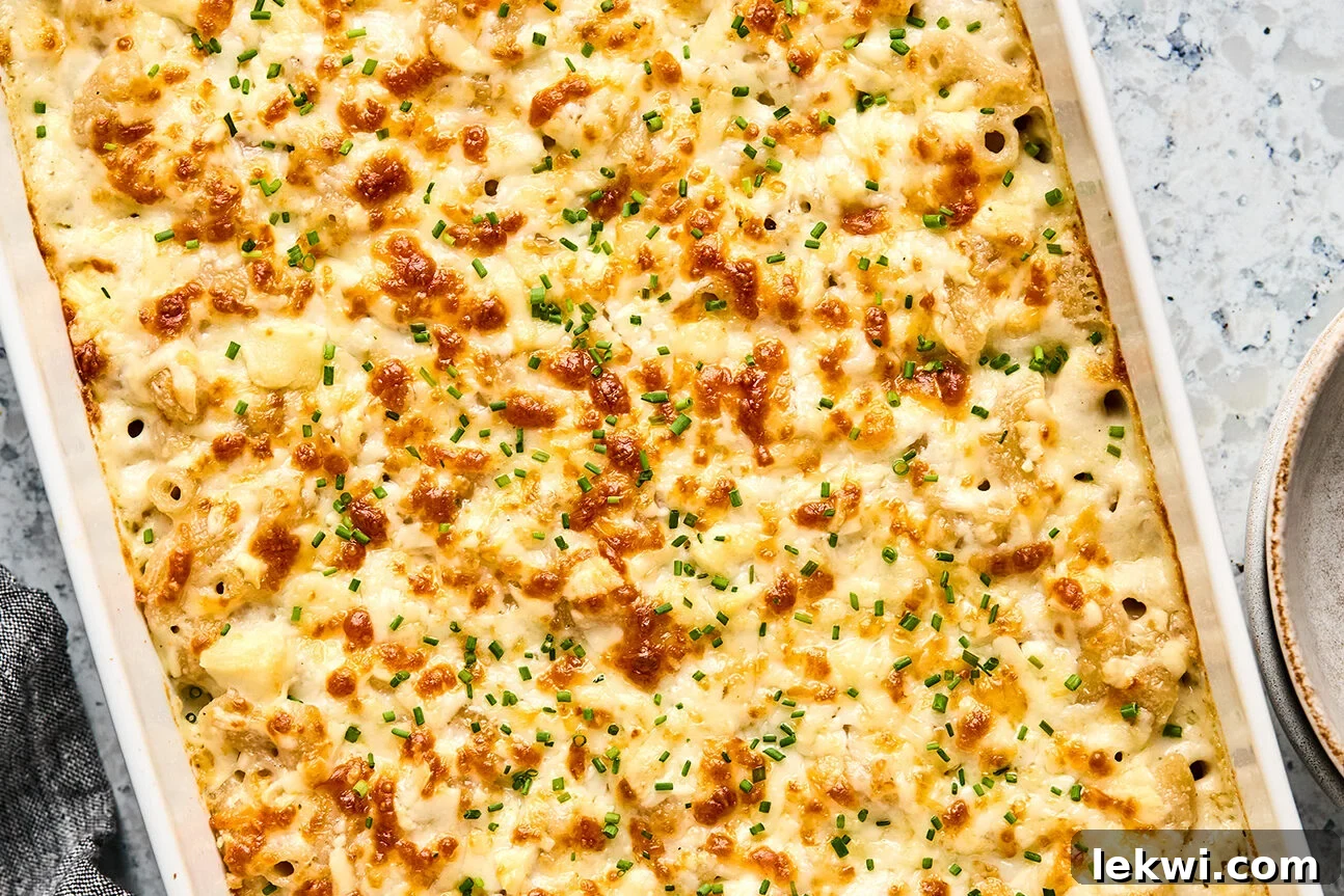 Goat cheese mac and cheese after coming out of the oven, totally cooked.