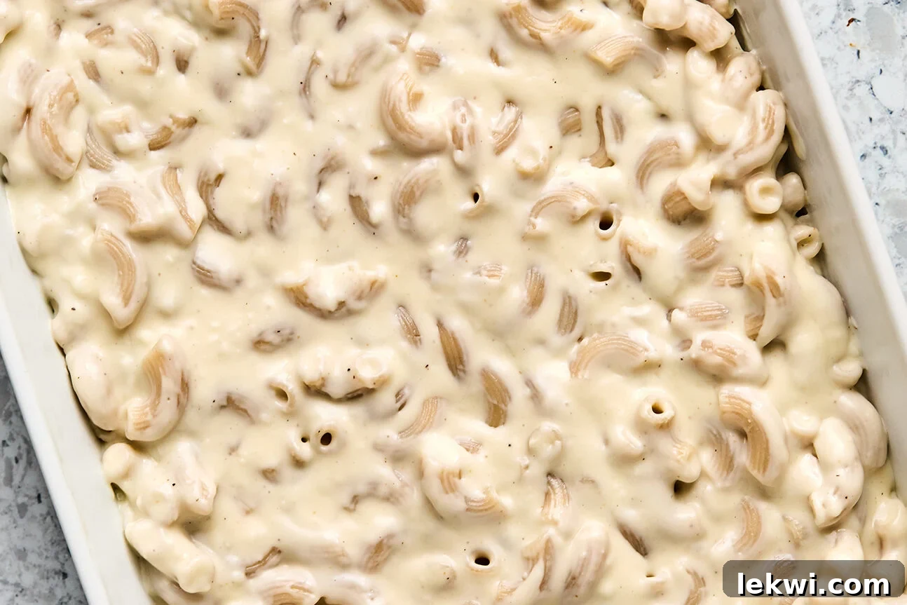 Pasta totally covered in goat cheese mac and cheese sauce.