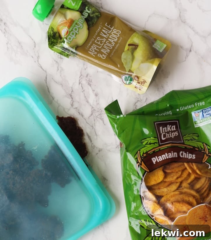 A selection of portable and healthy snacks including a bag of plantain chips, a pouch of baby food, and a resealable bag of homemade beef jerky, ideal for travel.