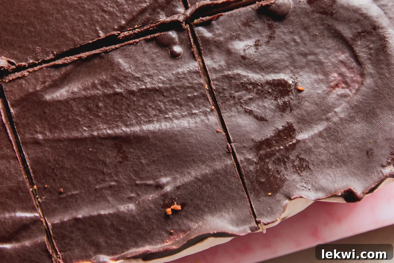 The s'mores protein bars cut into pieces, ready to be served.