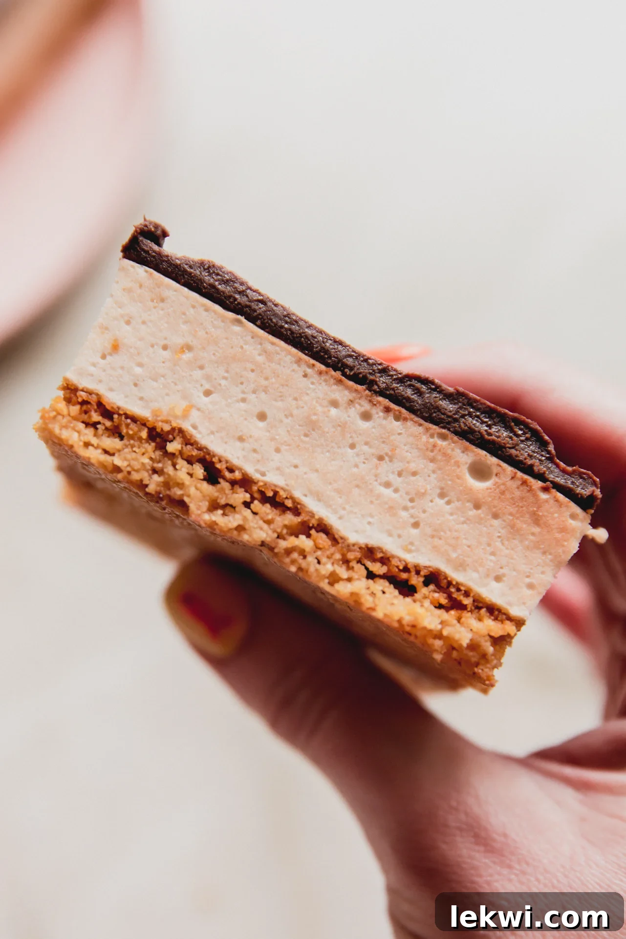 One protein s'mores bar being held, showing its layers and appealing texture.