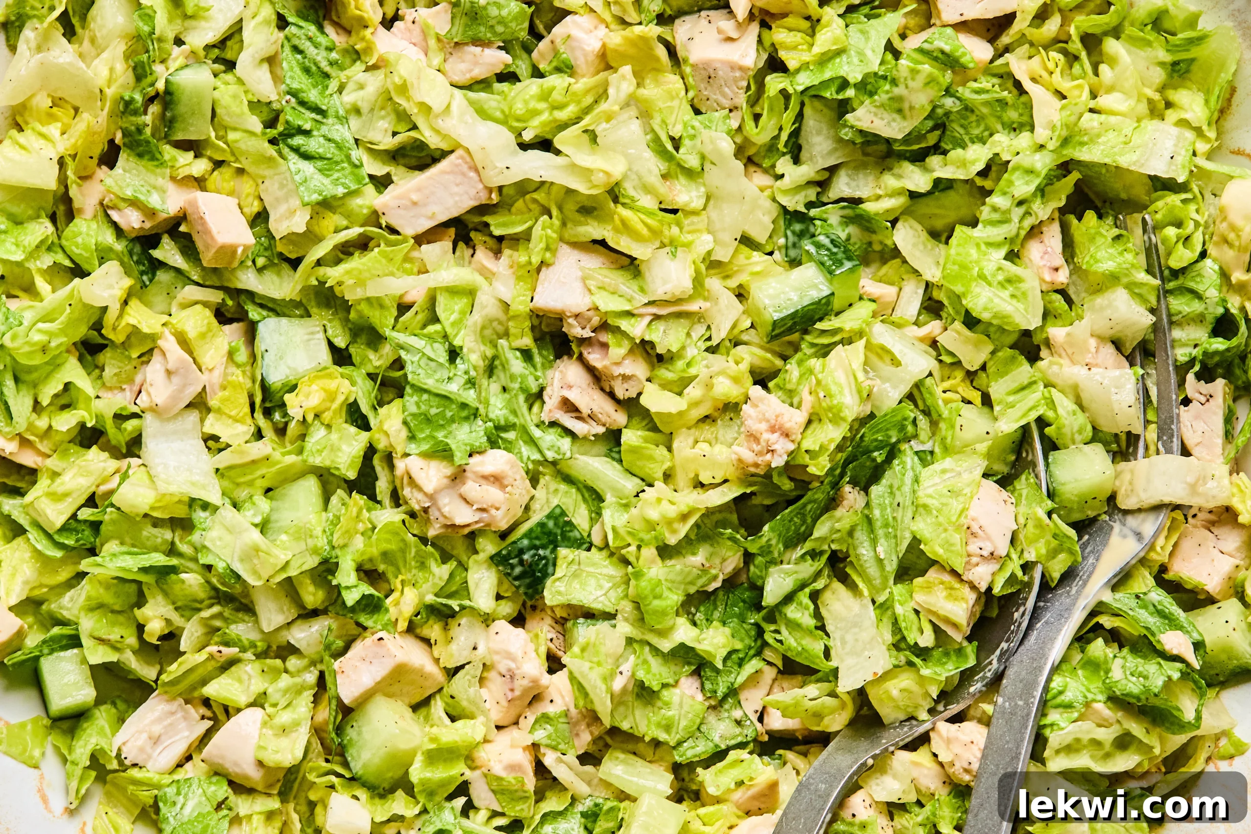 The chicken Caesar salad thoroughly mixed with the dressing in a large bowl, appearing perfectly coated and ready for filling the rice paper rolls.