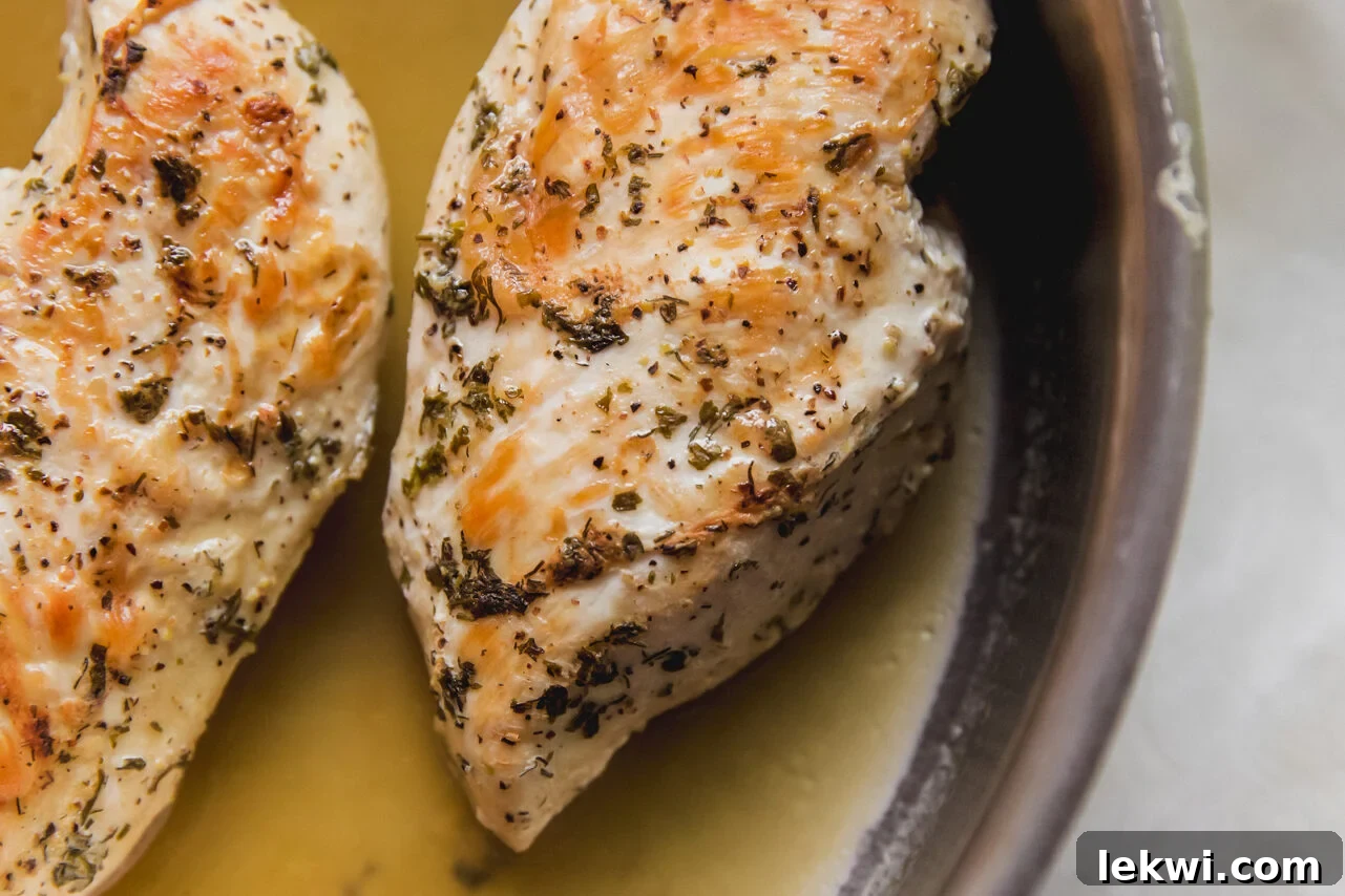 Seasoned chicken breasts cooking in a pan, lightly browned and simmering in broth.
