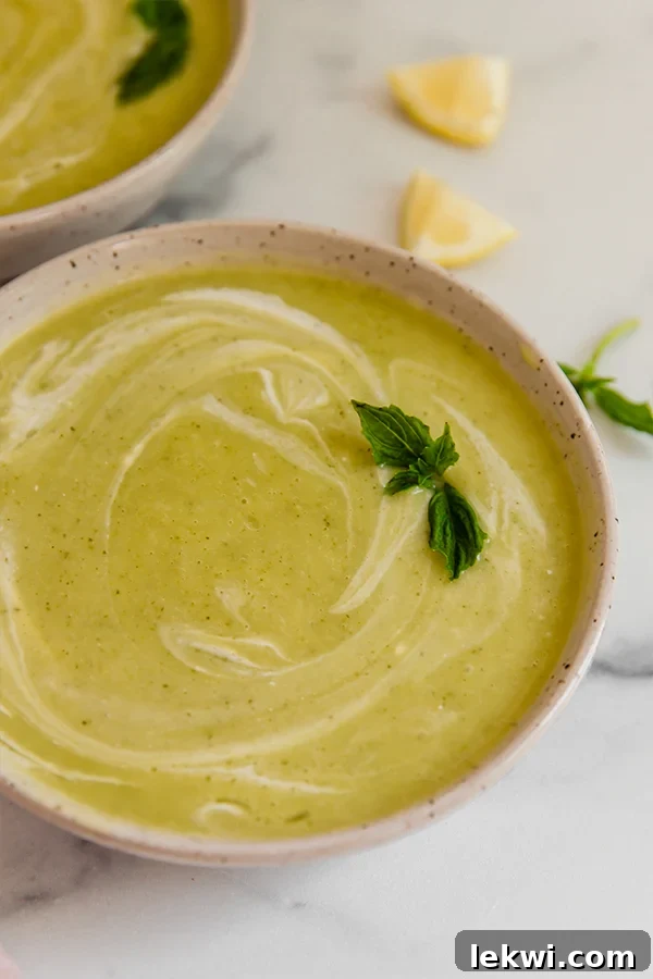 Bowl of basil zucchini summer soup.