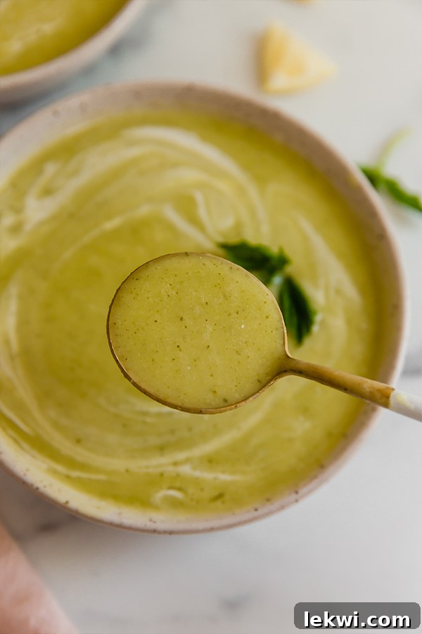 Up close spoonful of zucchini soup