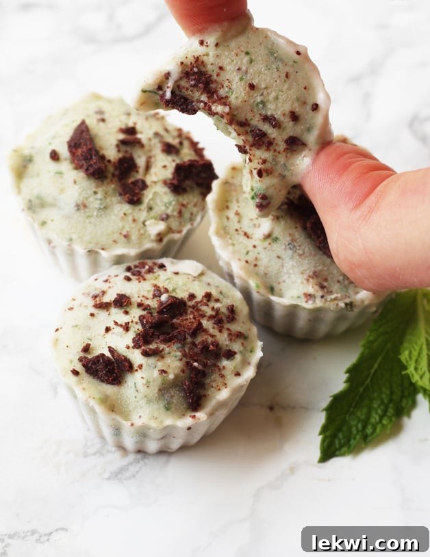 Delicious Mint Chip Banana Ice Cream Cups, suitable for Paleo, AIP, and Vegan dietary requirements.