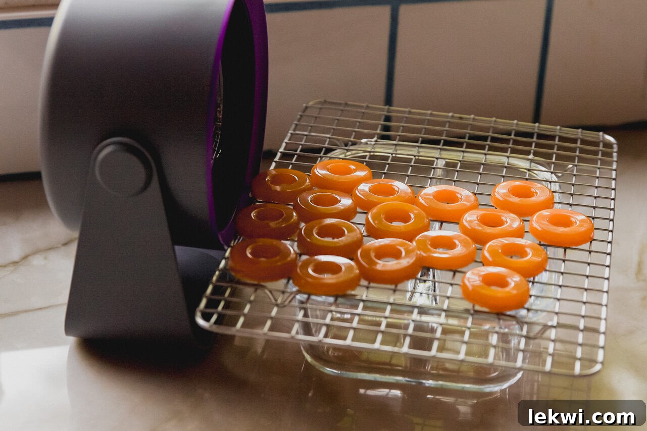 Freshly molded protein peach rings are arranged on a wire rack, with a gentle fan blowing air to aid in the drying process for a chewier texture.