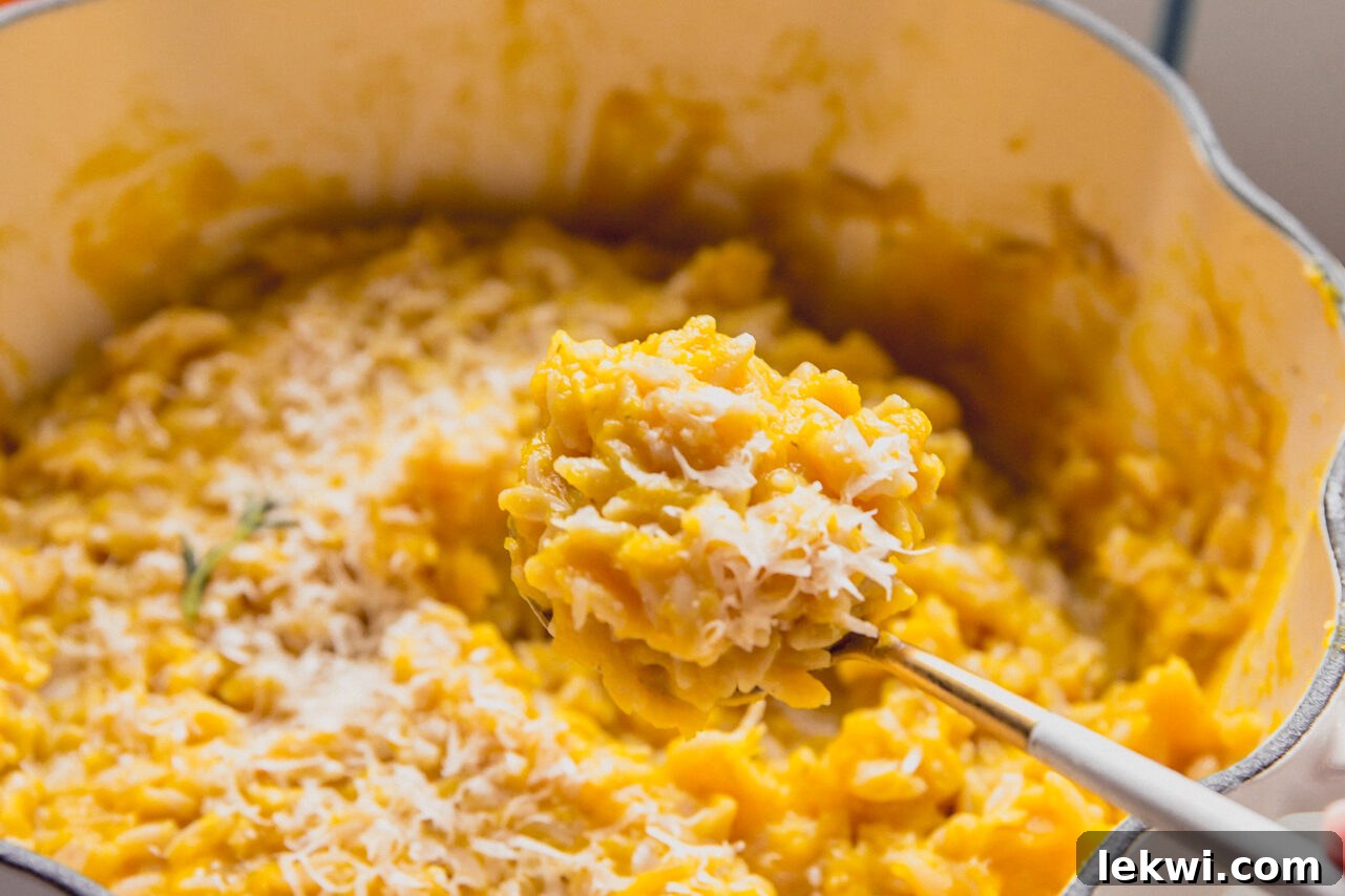 The finished pumpkin orzo, creamy and garnished with shredded pecorino cheese and fresh thyme, ready to be served.