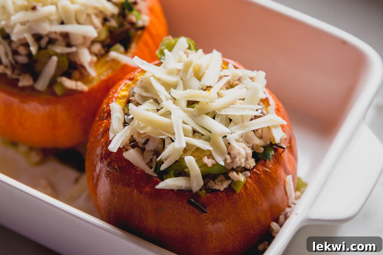 Roasted pumpkins generously filled with the wild rice and turkey mixture, topped with shredded cheese, ready for a final bake.