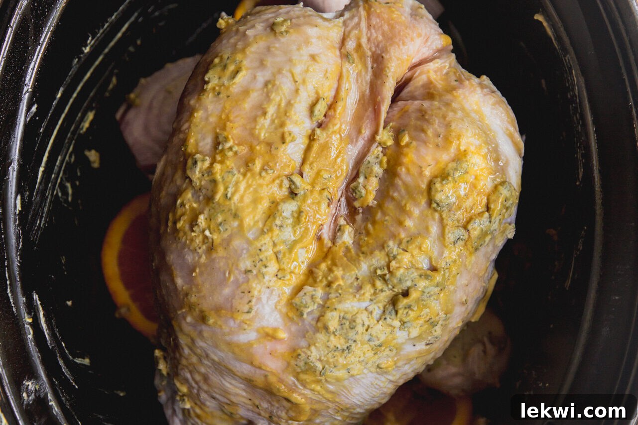Raw turkey breast coated with ghee and mustard in a slow cooker, ready for cooking.