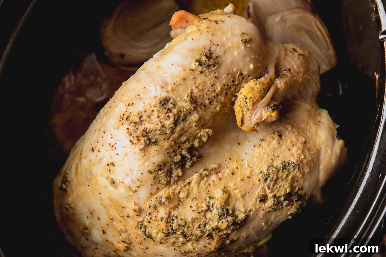 The fully cooked turkey breast still in the slow cooker, ready to be transferred for broiling.