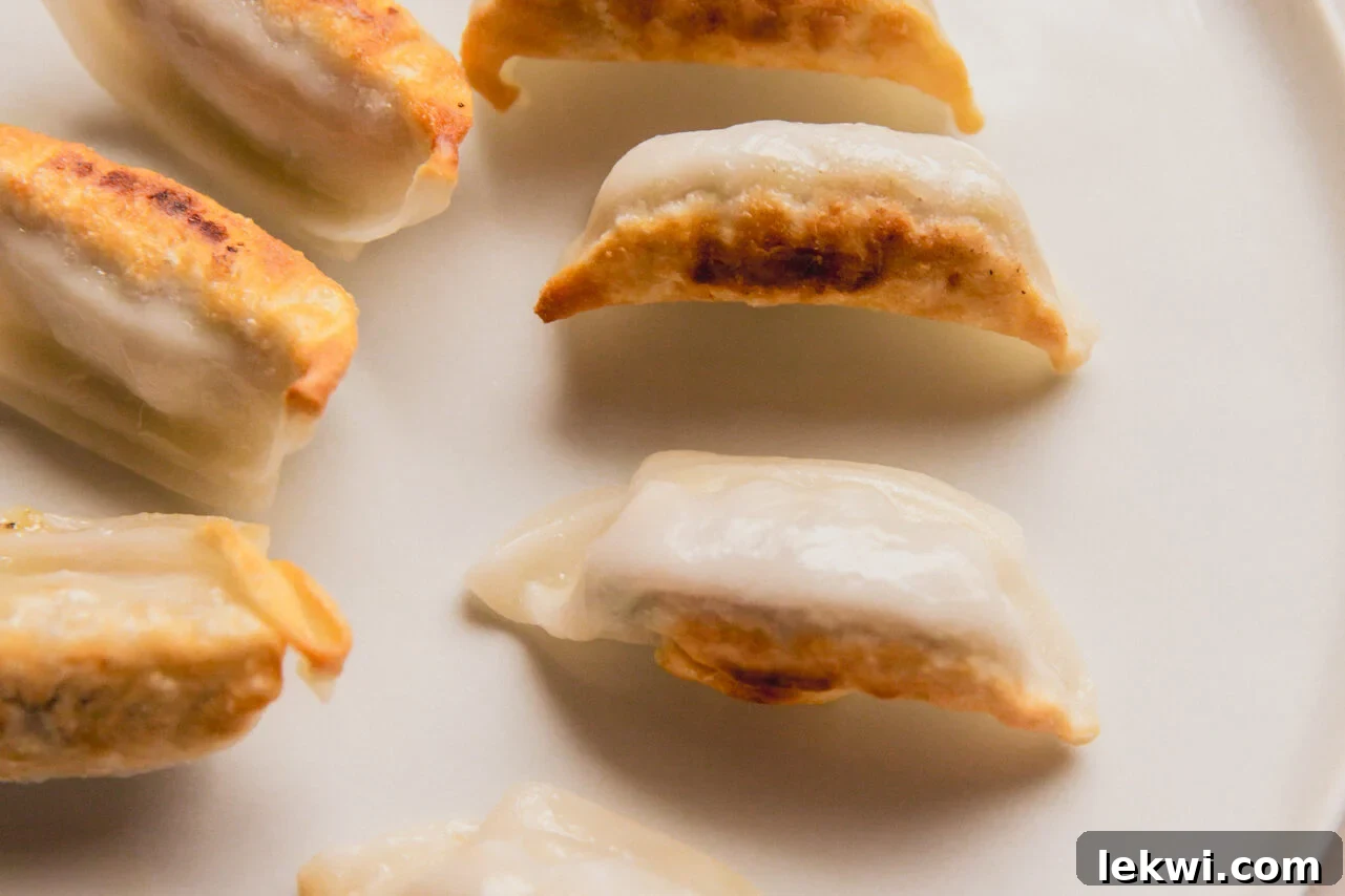 Crispy browned potstickers carefully placed on a white plate, set aside after cooking.