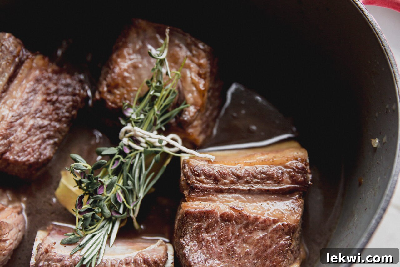 Short ribs in the Dutch oven with liquids and herbs added to it.