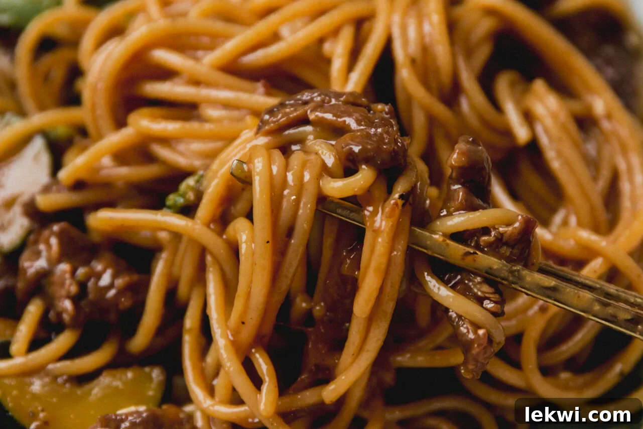 Wok-Tossed Gluten-Free Beef Noodles 8 The finished dish with noodles, beef, and vegetables.