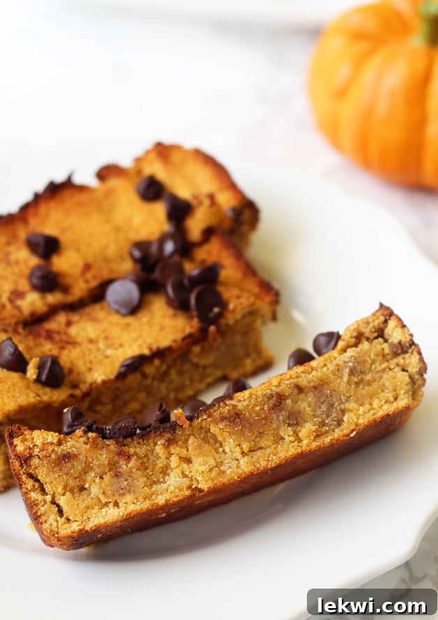 A beautifully presented slice of Paleo Chocolate Chip Pumpkin Bread with chocolate chips, emphasizing its moist, wholesome texture.