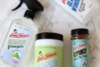 Aunt Fannies Cleaning and Pest Management Deep Dive