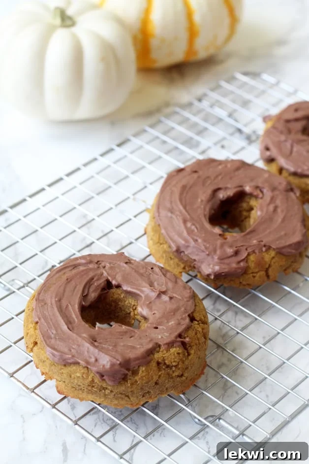 Paleo Pumpkin Donuts with Chocolate Frosting (AIP, Gluten free)