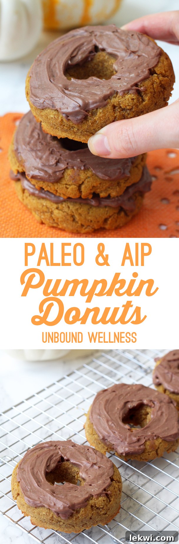 A beautifully styled flat lay of Paleo Pumpkin Donuts with Chocolate Frosting, highlighting their AIP and Gluten-free qualities, perfect for Pinterest sharing.