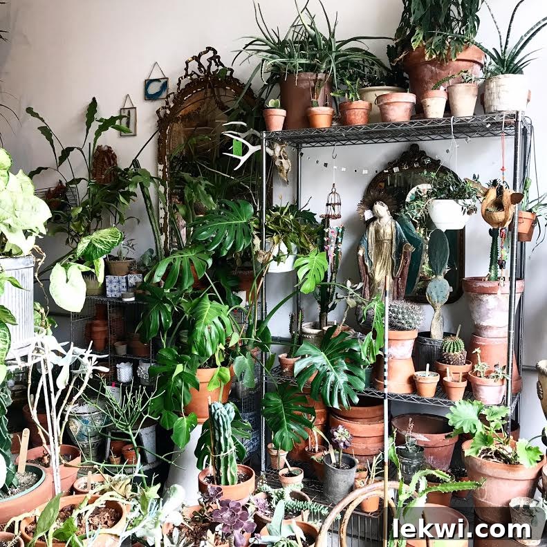A vibrant interior shot of Feng Sway, featuring a wall abundantly covered in a diverse collection of potted plants and cascading greenery from hanging planters, alongside vintage items.