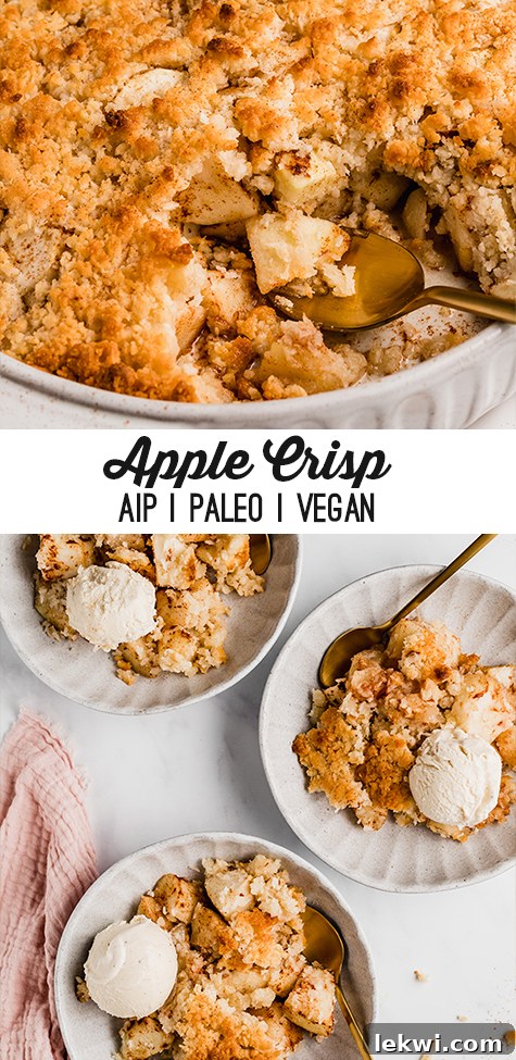 Two bowls filled with apple crisp and coconut ice cream and a spoon and text reading \"apple crisp aip paleo vegan\"