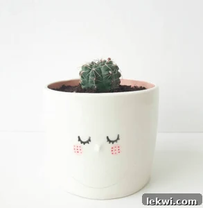 A white pot with a face on it and a succulent growing in it.