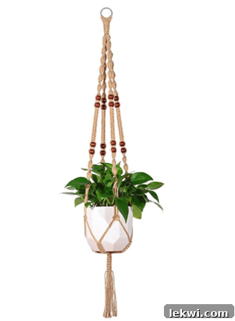 A plant in a hanging planter with beads in it.