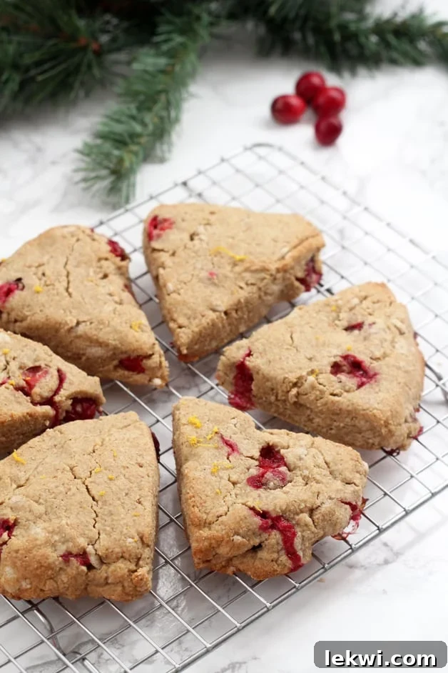 Six orange cranberry scones on a metal cooling rack after baking.