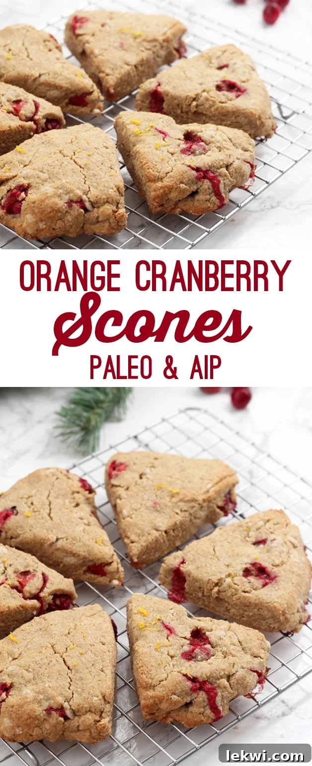 A top-down shot of a plate with a single orange cranberry scone, garnished with fresh cranberries and orange zest.