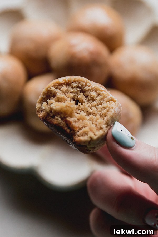 A hand holding a gingerbread donut hole with a bite taken out of it, showing the soft interior.