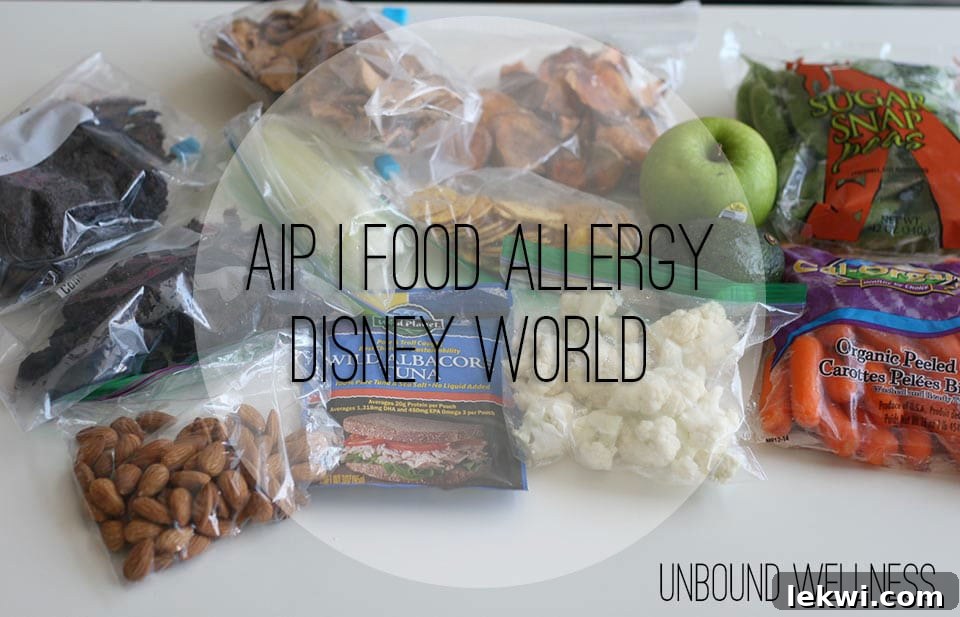 Packed food for Disney World trip