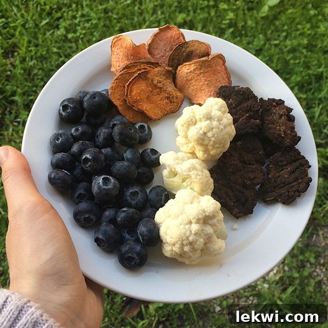 Magic Kingdom morning